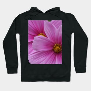 Two Pink Flowers Cosmo Daisies Macro Hoodie